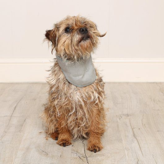 Cooling Bandana - Small/Medium