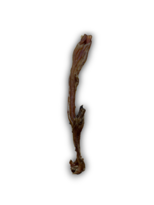 Beef Tendon