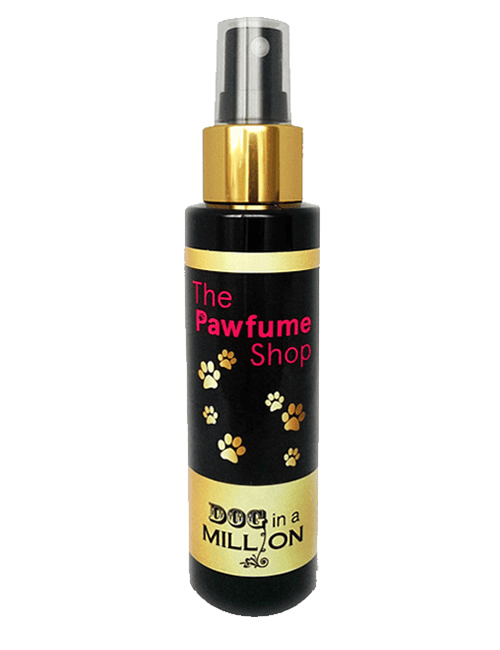 The Pawfume Shop - Dog in a Million