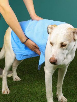 Cooling Towel