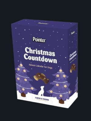 Pointer Advent Calendar