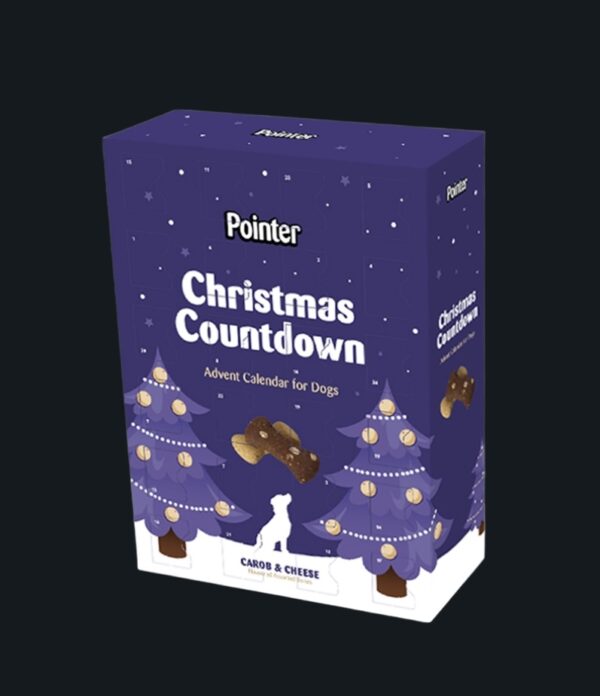 Pointer Advent Calendar