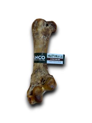 Ostrich Dino Bone