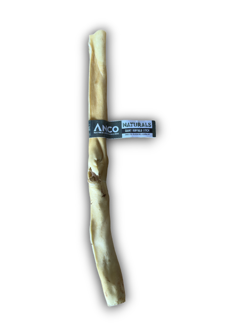 IMG_2675 Giant Buffalo Stick